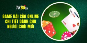 Game Bài Cào Online Chi Tiết Dành Cho Người Chơi Mới